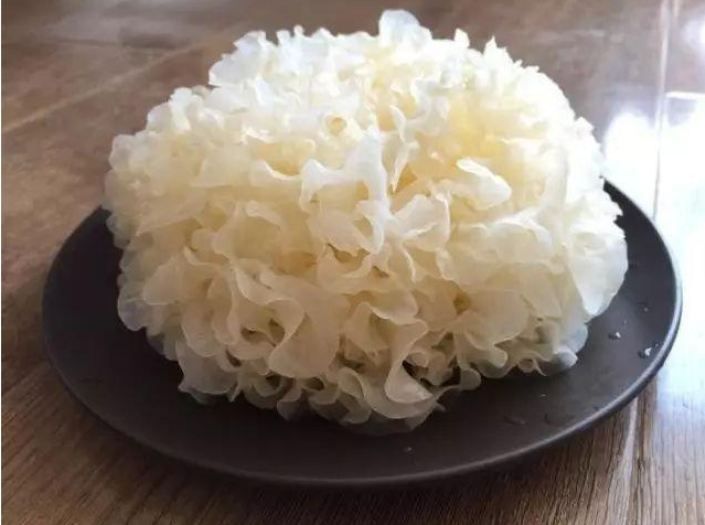 銀耳營養(yǎng)價(jià)值有多高 銀耳的飲食宜忌有哪些 銀耳營養(yǎng)價(jià)值有多高 銀耳的飲食宜忌有哪些