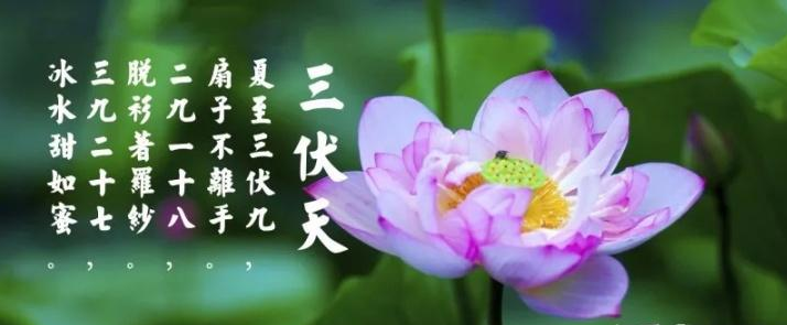 三伏天是什么？三伏天應(yīng)注意什么？