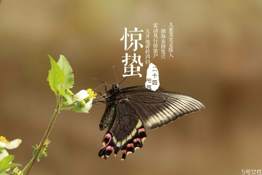 驚蟄如何養(yǎng)生 驚蟄養(yǎng)生重點是什么 驚蟄如何養(yǎng)生 驚蟄養(yǎng)生重點是什么