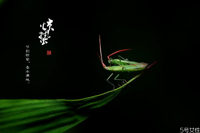 驚蟄如何養(yǎng)生 驚蟄養(yǎng)生重點是什么 驚蟄如何養(yǎng)生 驚蟄養(yǎng)生重點是什么