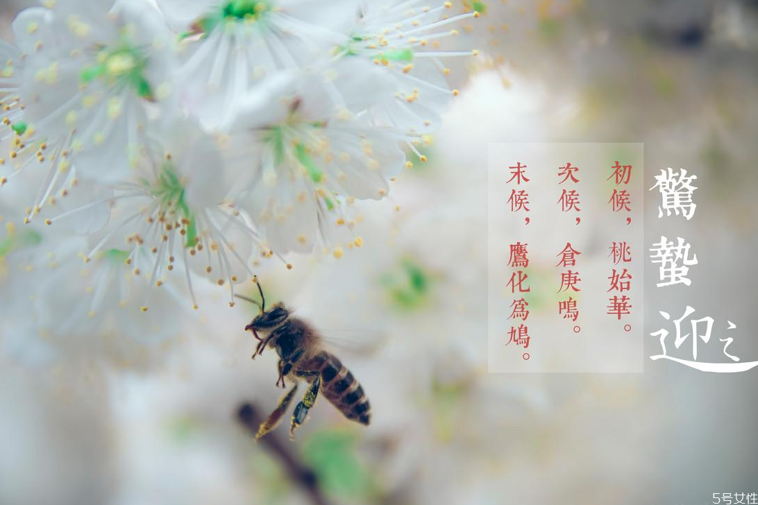 驚蟄適合吃什么菜 驚蟄吃什么食物養(yǎng)生 驚蟄適合吃什么菜 驚蟄吃什么食物養(yǎng)生