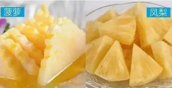 菠蘿和鳳梨的區(qū)別,六個方面教你如何區(qū)分 菠蘿和鳳梨的區(qū)別,六個方面教你如何區(qū)分