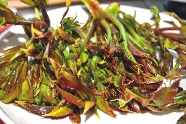 香椿頭為什么要焯水 香椿頭沒有焯水會(huì)怎樣 香椿頭為什么要焯水 香椿頭沒有焯水會(huì)怎樣