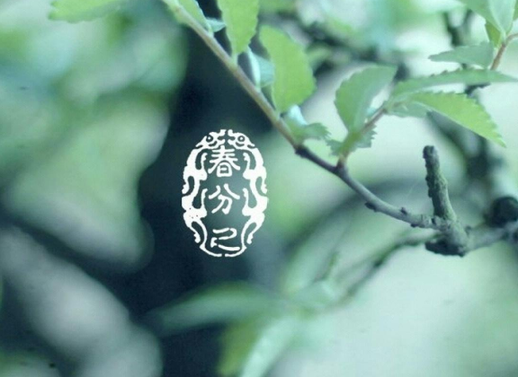 春分是什么意思 春分節(jié)氣的含義是什么 春分是什么意思 春分節(jié)氣的含義是什么