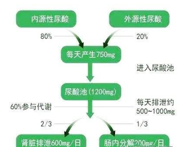 尿酸高可以吃瓜子嗎,有沒(méi)有影響的 尿酸高可以吃瓜子嗎,有沒(méi)有影響的