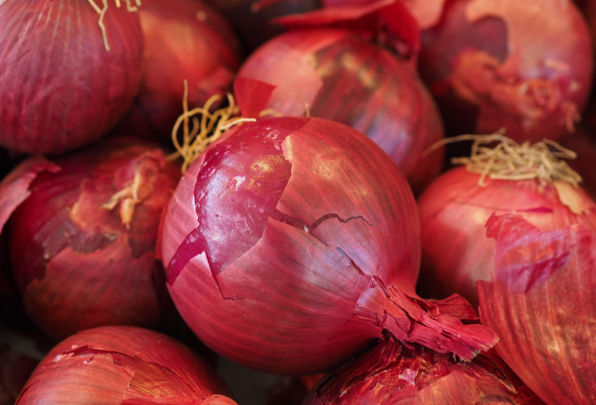 水洋蔥的功效與作用 水洋蔥的功效和藥用價值 水洋蔥的功效與作用 水洋蔥的功效和藥用價值