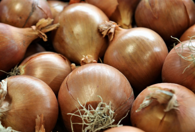 水洋蔥的功效與作用 水洋蔥的功效和藥用價值 水洋蔥的功效與作用 水洋蔥的功效和藥用價值