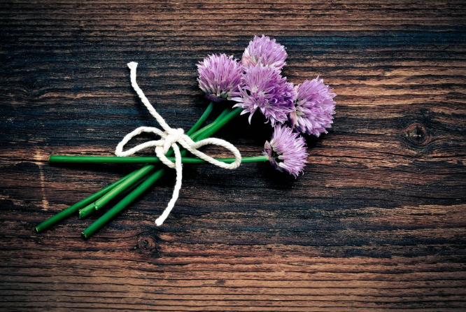 春韭的功效 春韭菜的營(yíng)養(yǎng)價(jià)值 春韭的功效 春韭菜的營(yíng)養(yǎng)價(jià)值