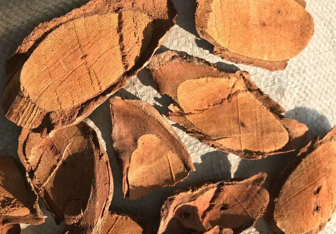 滇雞血藤的功效與作用 滇雞血藤怎么吃 滇雞血藤的功效與作用 滇雞血藤怎么吃