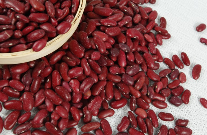 紅豆和赤小豆哪個(gè)補(bǔ)血效果比較好 紅豆和赤小豆誰最補(bǔ)血 紅豆和赤小豆哪個(gè)補(bǔ)血效果比較好 紅豆和赤小豆誰最補(bǔ)血