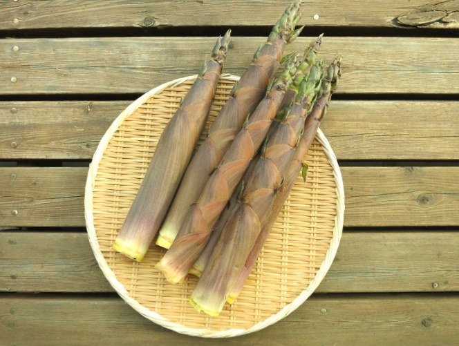 新鮮竹筍怎么保鮮儲存 新鮮竹筍如何處理能長期保鮮 新鮮竹筍怎么保鮮儲存 新鮮竹筍如何處理能長期保鮮