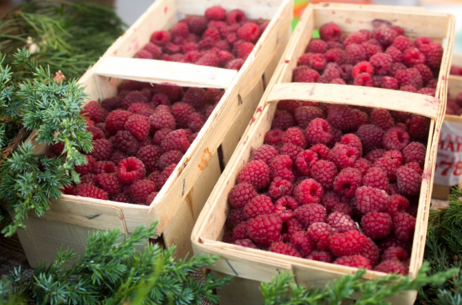 覆盆子茶的功效與禁忌 覆盆子茶的作用與功效是什么 覆盆子茶的功效與禁忌 覆盆子茶的作用與功效是什么
