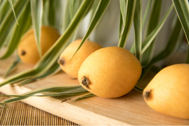 枇杷可以和牛奶一起吃嗎 枇杷可以和牛奶一起榨汁嗎 枇杷可以和牛奶一起吃嗎 枇杷可以和牛奶一起榨汁嗎