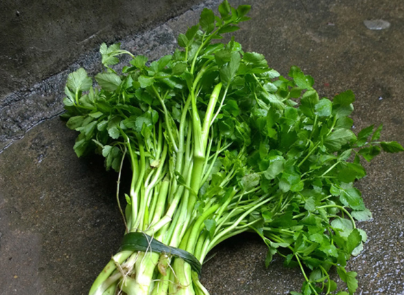 水芹菜是什么樣的 水芹菜有什么營養(yǎng)價值 水芹菜是什么樣的 水芹菜有什么營養(yǎng)價值
