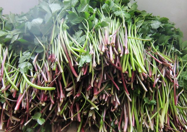 小葉芹怎么做好吃 小葉芹野菜有毒嗎 小葉芹怎么做好吃 小葉芹野菜有毒嗎