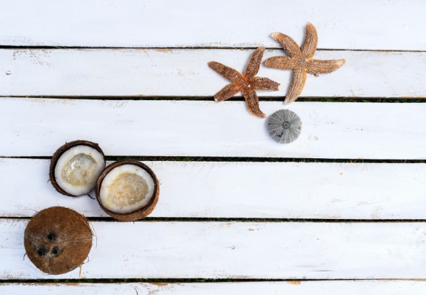 椰子肉和牛奶可以一起榨汁喝嗎 椰子肉和什么水果榨汁好喝 椰子肉和牛奶可以一起榨汁喝嗎 椰子肉和什么水果榨汁好喝