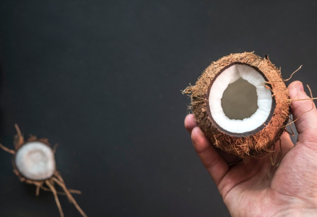 椰子肉粉色是怎么回事 椰子肉的顏色是什么樣子的 椰子肉粉色是怎么回事 椰子肉的顏色是什么樣子的