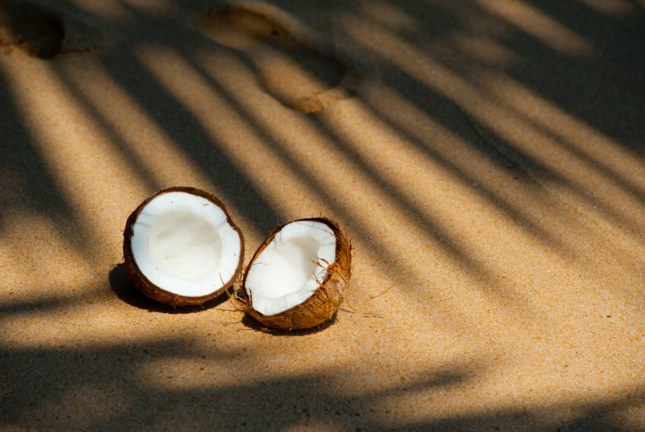 椰子肉粉色是怎么回事 椰子肉的顏色是什么樣子的 椰子肉粉色是怎么回事 椰子肉的顏色是什么樣子的