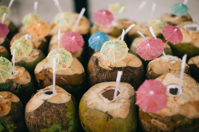 椰子肉和牛奶可以一起榨汁喝嗎 椰子肉和什么水果榨汁好喝 椰子肉和牛奶可以一起榨汁喝嗎 椰子肉和什么水果榨汁好喝