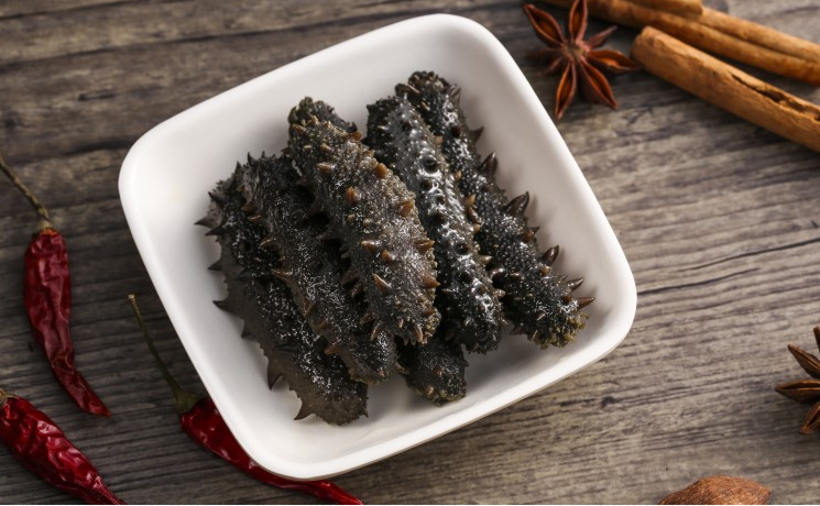 海參是春參好還是秋參好 春參和秋參的營(yíng)養(yǎng)價(jià)值比較 海參是春參好還是秋參好 春參和秋參的營(yíng)養(yǎng)價(jià)值比較