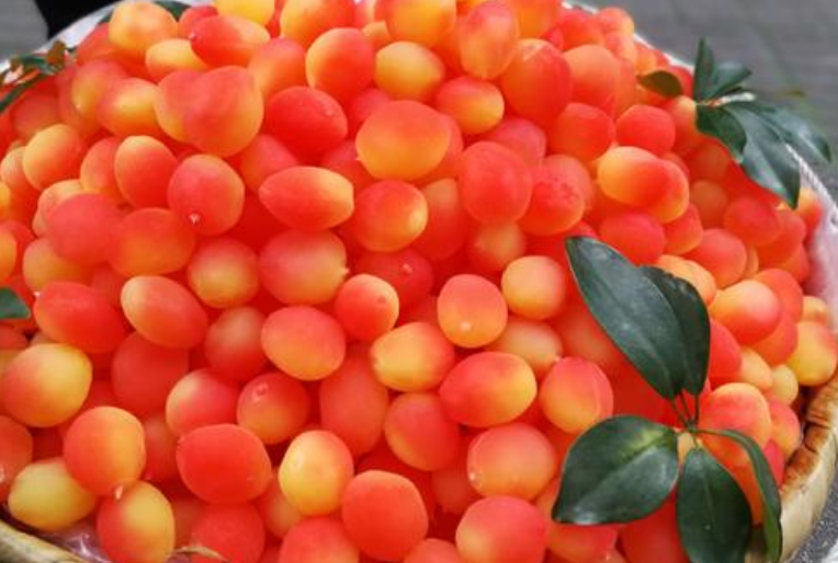 金西梅是什么水果 金西梅是染色的嗎 金西梅是什么水果 金西梅是染色的嗎