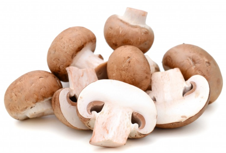 新鮮蘑菇長(zhǎng)白毛能吃嗎 新鮮蘑菇要焯水嗎 新鮮蘑菇長(zhǎng)白毛能吃嗎 新鮮蘑菇要焯水嗎