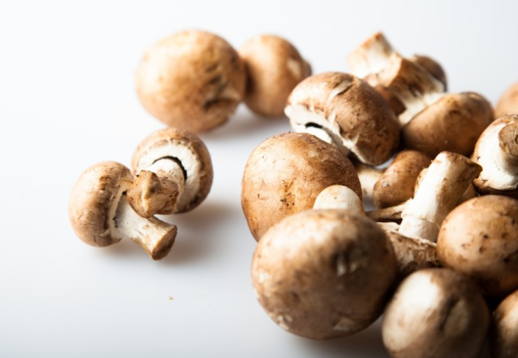 新鮮蘑菇長(zhǎng)白毛能吃嗎 新鮮蘑菇要焯水嗎 新鮮蘑菇長(zhǎng)白毛能吃嗎 新鮮蘑菇要焯水嗎