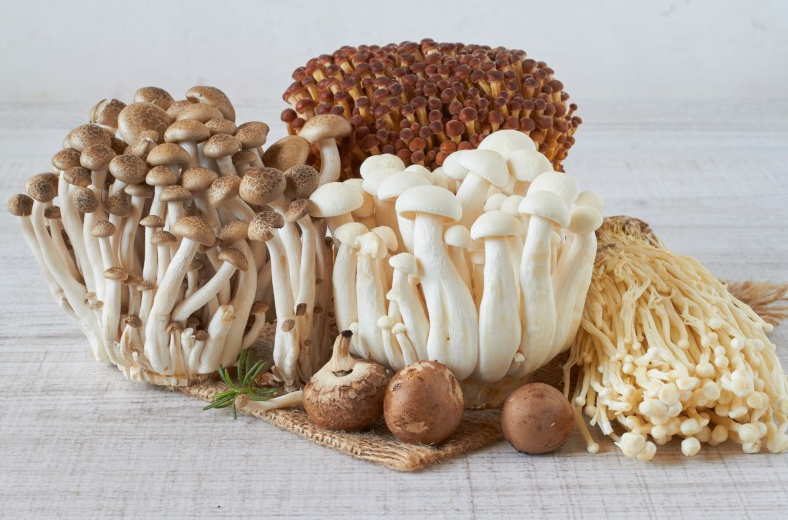 新鮮蘑菇放冰箱冷藏能放幾天 新鮮蘑菇怎么保存 新鮮蘑菇放冰箱冷藏能放幾天 新鮮蘑菇怎么保存