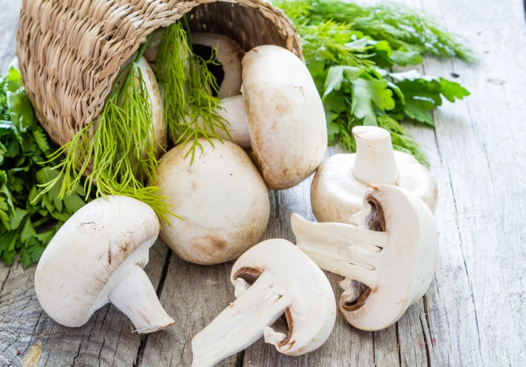 新鮮蘑菇放冰箱冷藏能放幾天 新鮮蘑菇怎么保存 新鮮蘑菇放冰箱冷藏能放幾天 新鮮蘑菇怎么保存