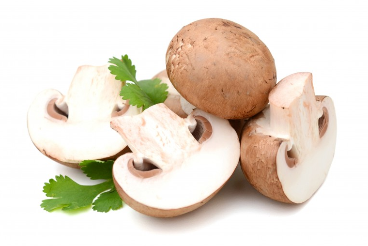 新鮮蘑菇長(zhǎng)白毛能吃嗎 新鮮蘑菇要焯水嗎 新鮮蘑菇長(zhǎng)白毛能吃嗎 新鮮蘑菇要焯水嗎