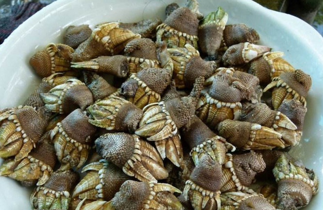 佛手螺多少錢一斤 佛手螺最多的產(chǎn)地是哪里 佛手螺多少錢一斤 佛手螺最多的產(chǎn)地是哪里