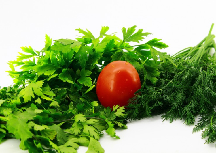 假香菜功效與作用 假香菜的藥用價(jià)值 假香菜功效與作用 假香菜的藥用價(jià)值