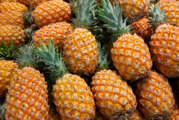 菠蘿可以和香蕉一起吃嗎 菠蘿可以和蜂蜜一起吃嗎 菠蘿可以和香蕉一起吃嗎 菠蘿可以和蜂蜜一起吃嗎