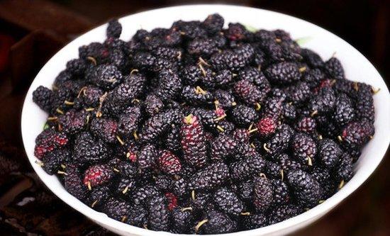桑葚要泡鹽水嗎 要泡多長(zhǎng)時(shí)間 桑葚要泡鹽水嗎 要泡多長(zhǎng)時(shí)間