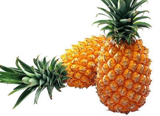 菠蘿的功效與作用 菠蘿和鳳梨有什么區(qū)別 菠蘿的功效與作用 菠蘿和鳳梨有什么區(qū)別