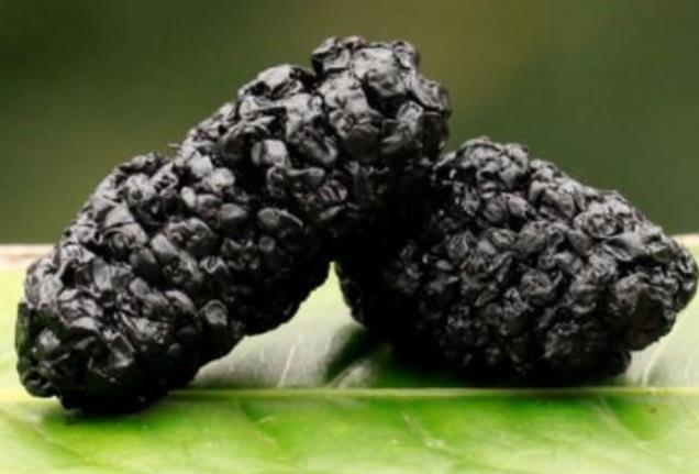 桑葚干怎么制成的 桑葚干怎么做 桑葚干怎么制成的 桑葚干怎么做