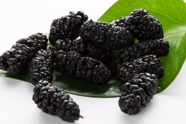 桑葚干有沒有保質(zhì)期限 桑葚干過期了還能吃嗎 桑葚干有沒有保質(zhì)期限 桑葚干過期了還能吃嗎