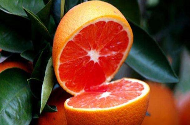 橙子可以和什么一起榨汁 橙子可以做什么飲料 橙子可以和什么一起榨汁 橙子可以做什么飲料