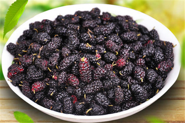 桑葚含糖高嗎 桑葚糖尿病人可以吃嗎 桑葚含糖高嗎 桑葚糖尿病人可以吃嗎