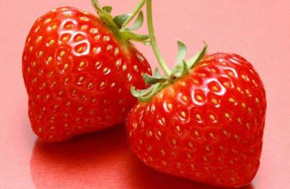 草莓怎么儲(chǔ)存保鮮 草莓醬怎么制作 草莓怎么儲(chǔ)存保鮮 草莓醬怎么制作