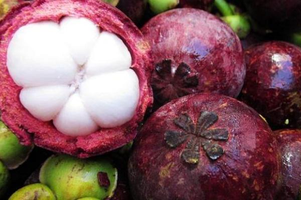 山竹的功效與作用 山竹的營(yíng)養(yǎng)成分 山竹的功效與作用 山竹的營(yíng)養(yǎng)成分