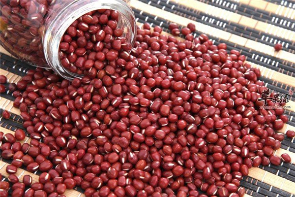紅豆和赤小豆有什么區(qū)別 紅豆和赤小豆哪個補血效果好 紅豆和赤小豆有什么區(qū)別 紅豆和赤小豆哪個補血效果好