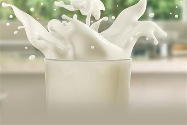 牛奶是脫脂的好還是全脂的好 牛奶減肥期間可以喝嗎 牛奶是脫脂的好還是全脂的好 牛奶減肥期間可以喝嗎
