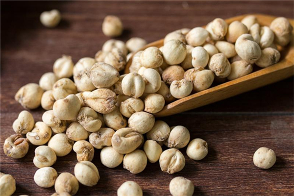 川貝和川貝母一樣嗎 川貝苦嗎 川貝和川貝母一樣嗎 川貝苦嗎