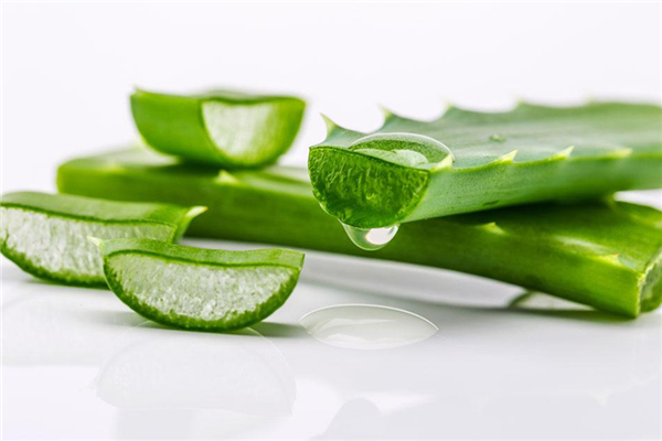 蘆薈能吃嗎 蘆薈對人體有什么好處 蘆薈能吃嗎 蘆薈對人體有什么好處