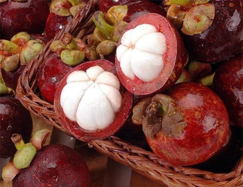 山竹是怎么長(zhǎng)的長(zhǎng)在哪里 山竹長(zhǎng)在樹(shù)上還是地上 山竹是怎么長(zhǎng)的長(zhǎng)在哪里 山竹長(zhǎng)在樹(shù)上還是地上