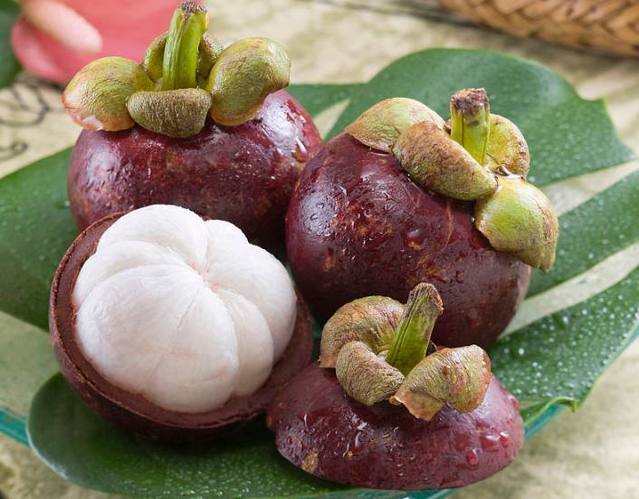 山竹的功效與作用 山竹的營(yíng)養(yǎng)成分 山竹的功效與作用 山竹的營(yíng)養(yǎng)成分