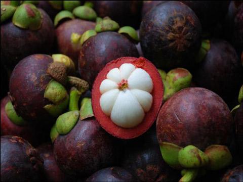 山竹的功效與作用 山竹的營(yíng)養(yǎng)成分 山竹的功效與作用 山竹的營(yíng)養(yǎng)成分