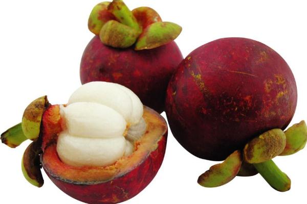 山竹要吐核嗎 吃山竹有什么好處 山竹要吐核嗎 吃山竹有什么好處