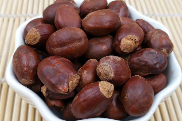 荔枝核可以吃嗎 荔枝核的功效與作用 荔枝核可以吃嗎 荔枝核的功效與作用